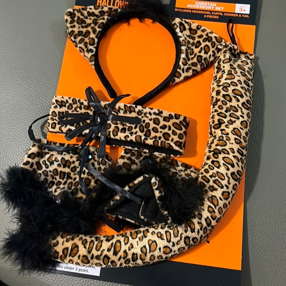 CHEETAH Accessory Set - Picture 1 of 3